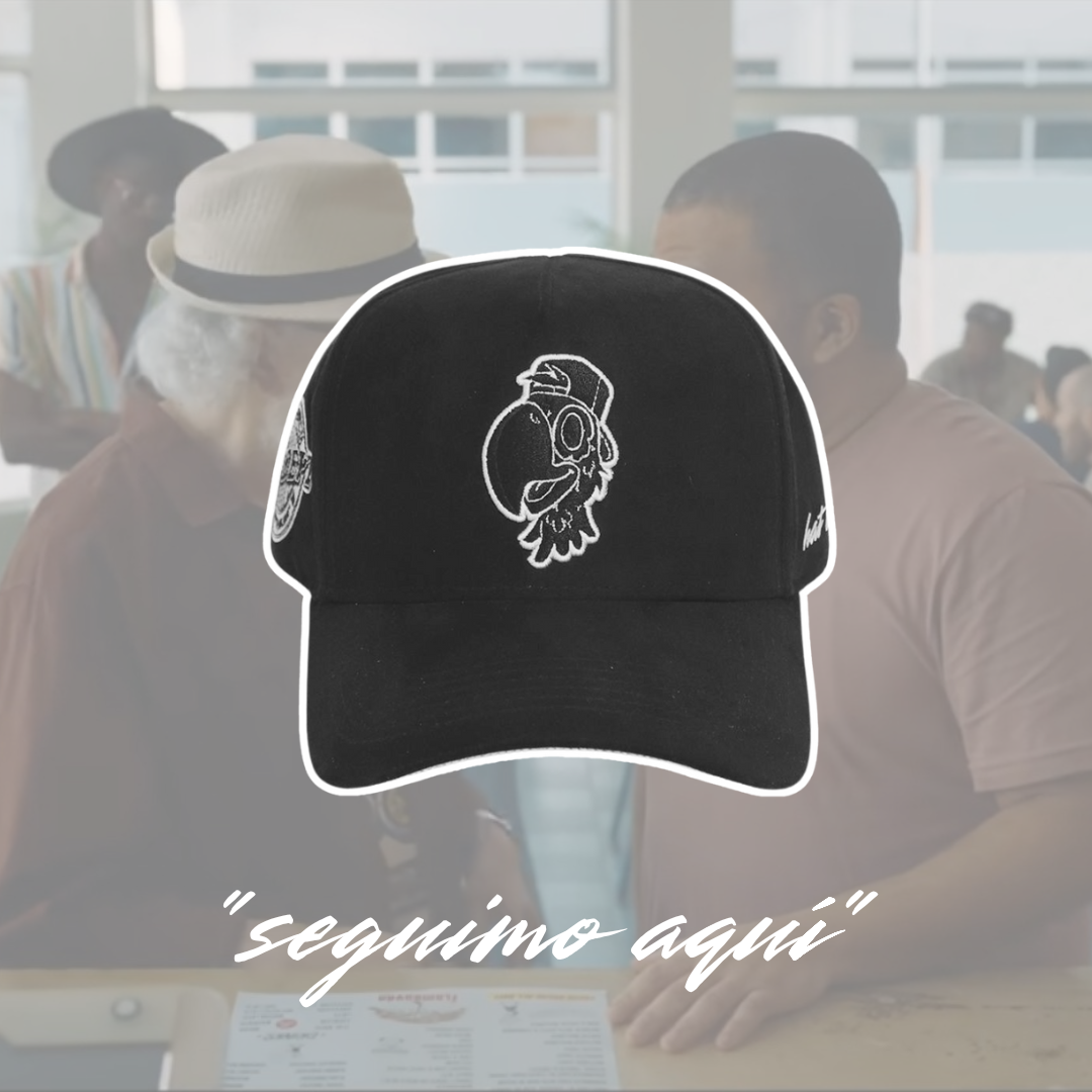 "seguimo aquí"📍🇵🇷🦜