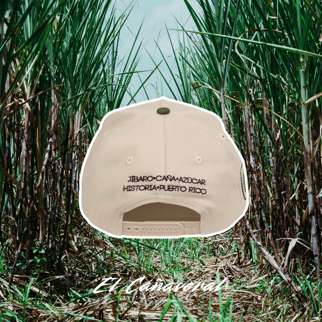 El Cañaveral 🎋