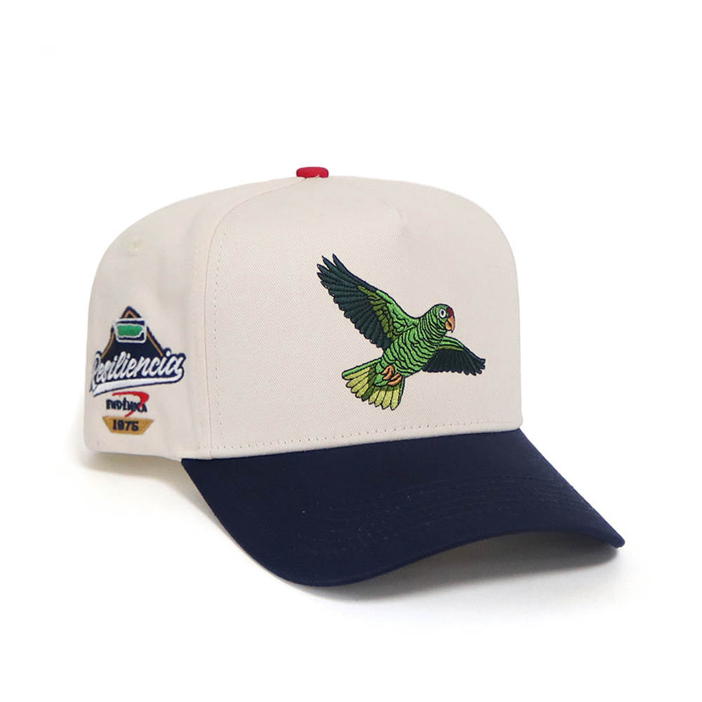 Gorras...🧢
