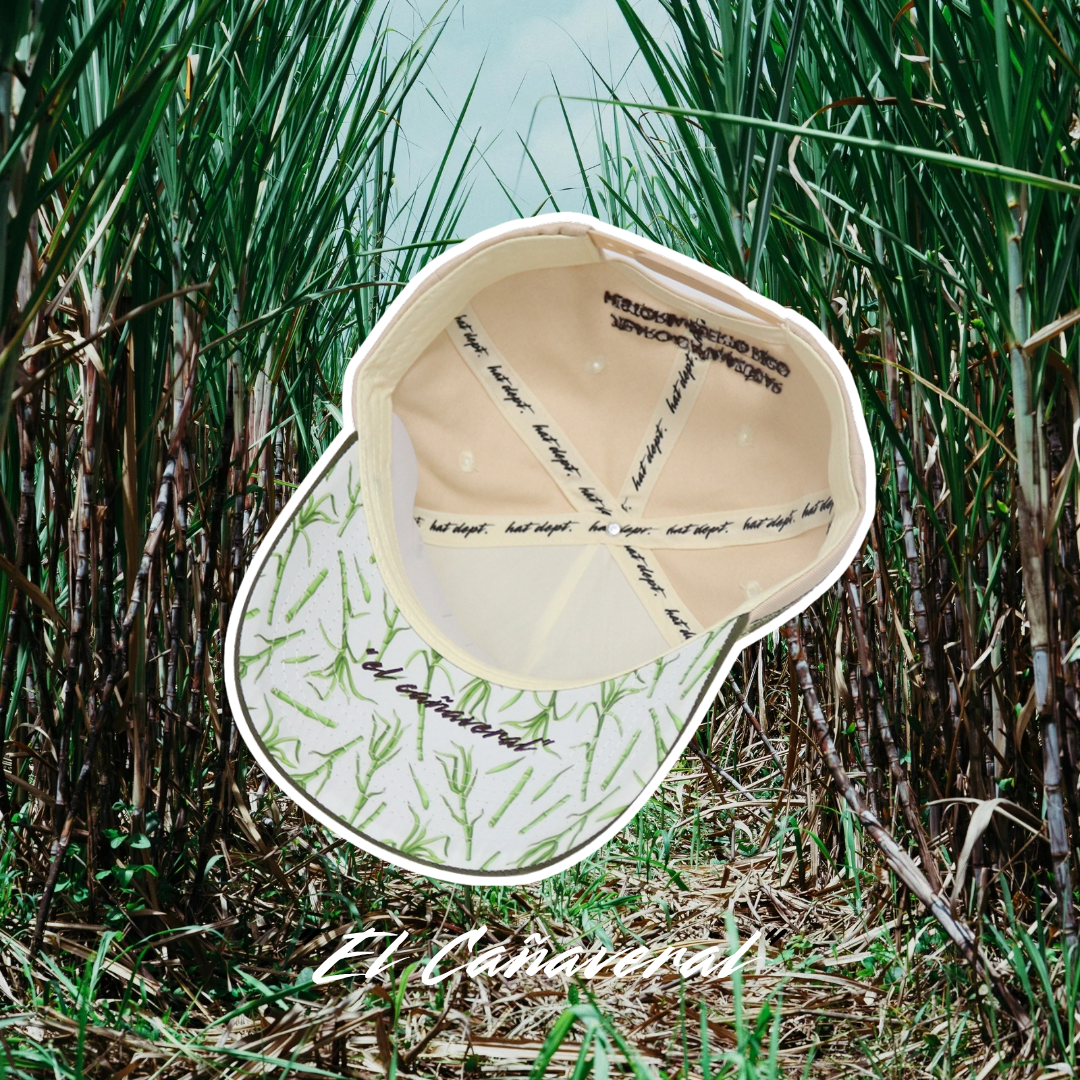 El Cañaveral  🎋