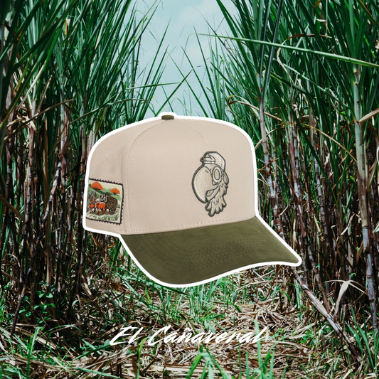(PREORDEN) El Cañaveral  🎋