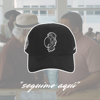 "seguimo aquí"📍🇵🇷🦜