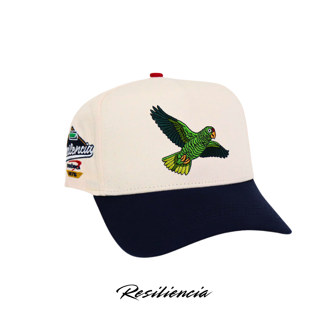 "Resiliencia" 🦜🧢