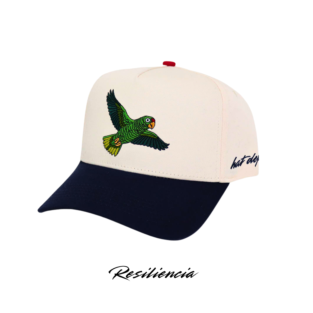 "Resiliencia" 🦜🧢
