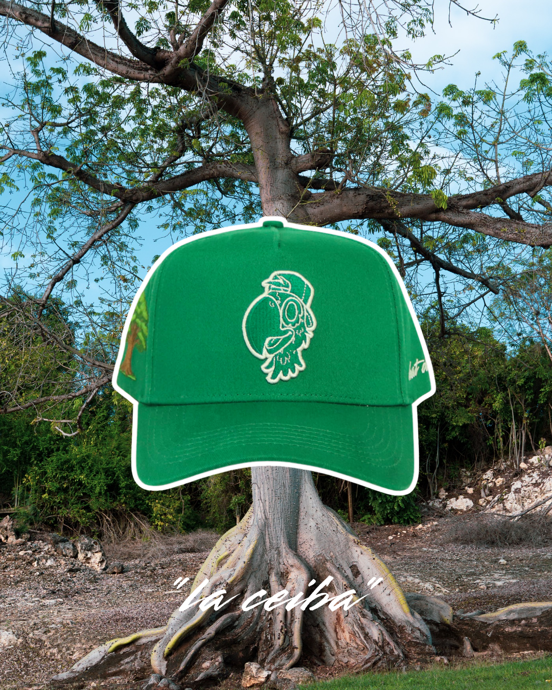 "La Ceiba" 🌳🦜