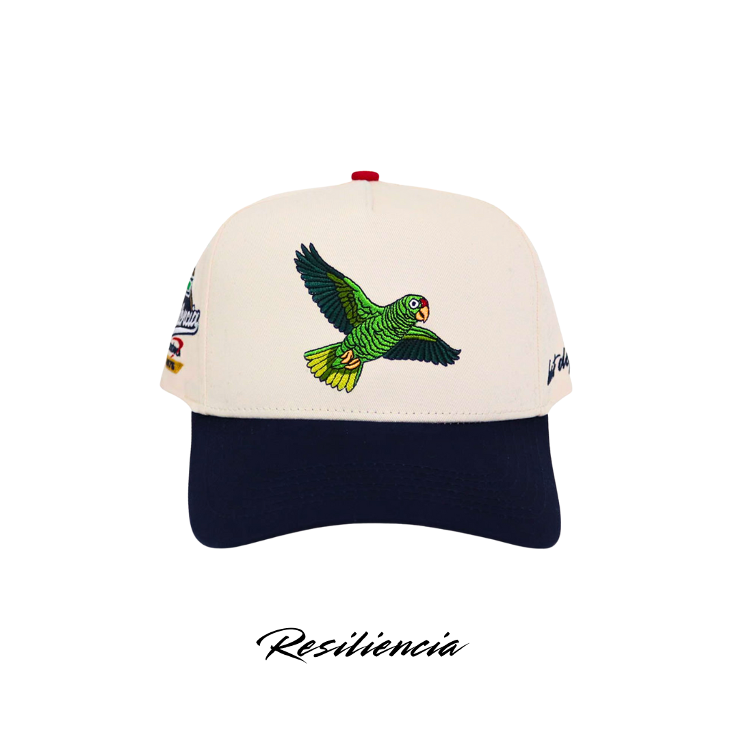 "Resiliencia" 🦜🧢
