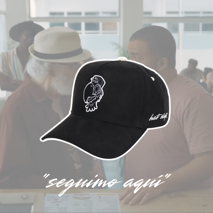 "seguimo aquí"📍🇵🇷🦜