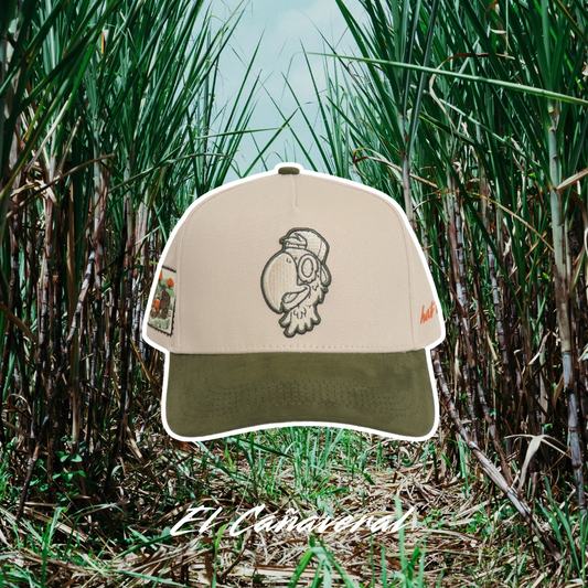 El Cañaveral 🧢🎋