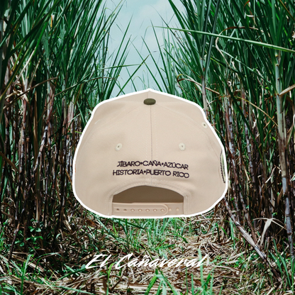 El Cañaveral 🧢🎋