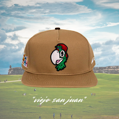 "viejo san juan"